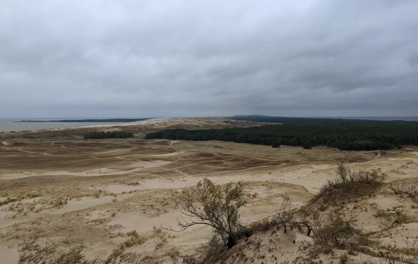 Picture of Curonian Spit