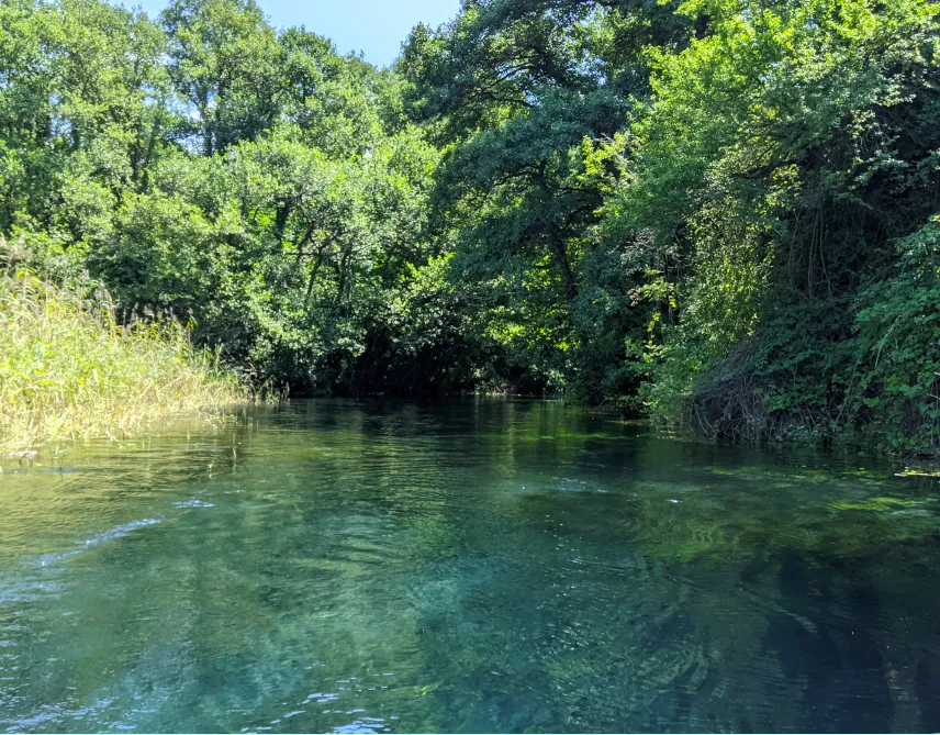 Picture of Black Drim's Springs