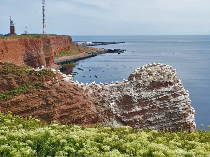 Picture of Helgoland