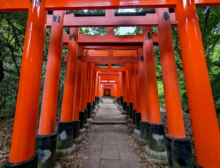 Picture of Fushimi Inari Shrine Kyoto