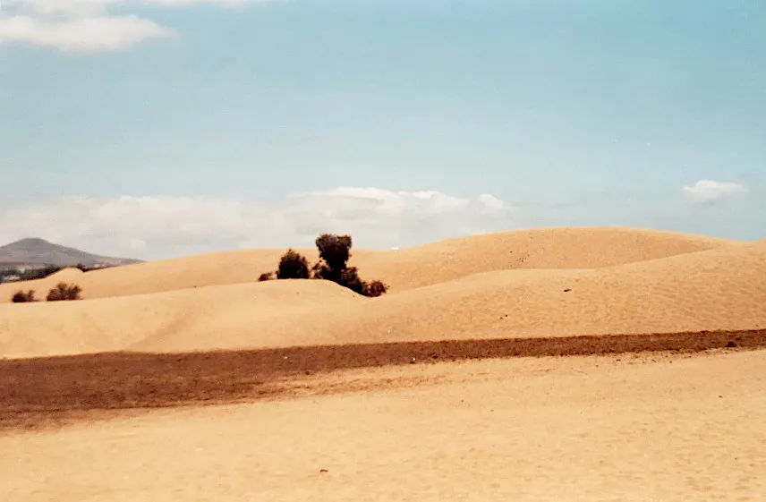 Picture of Dunas de Maspalomas, Gran Canaria