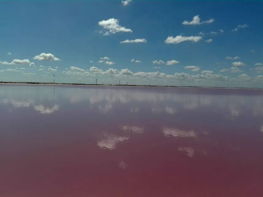 Picture of pink lake in Rio Lagartos, Mexico