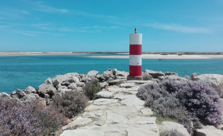 Picture of Tavira Island