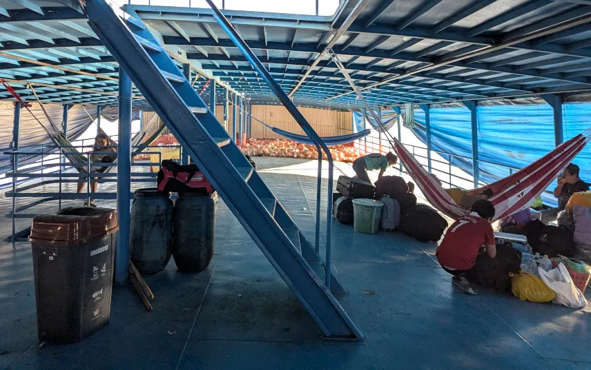 Picture of Chicken on the sleeping deck