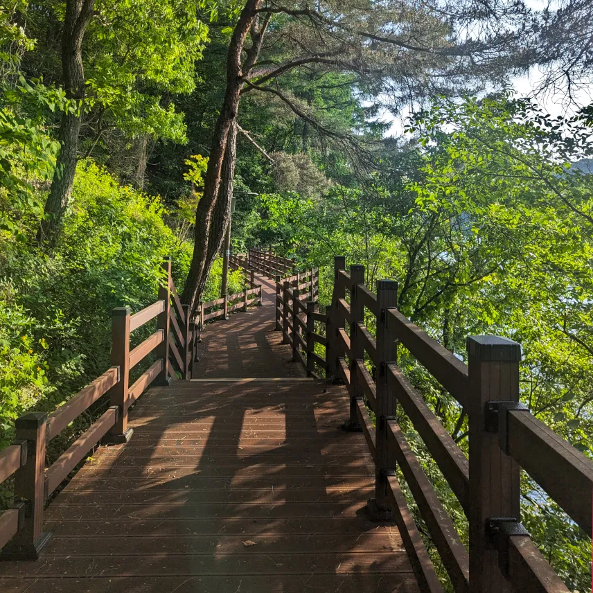 Picture of Nakdong River Promenade