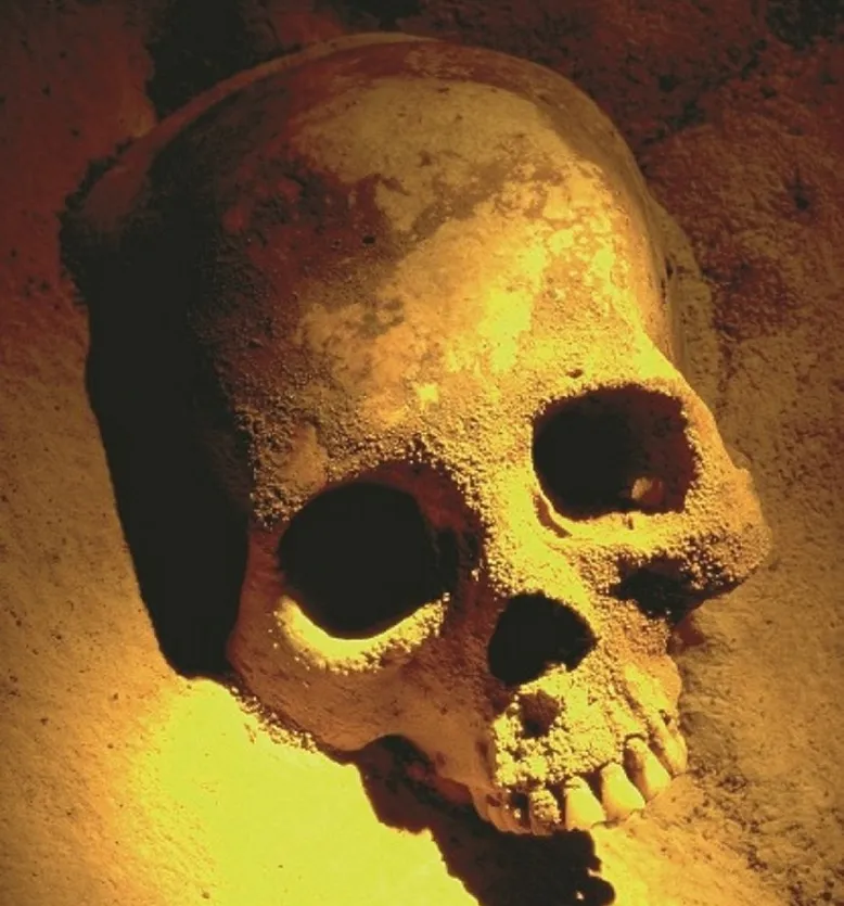 Picture of Real Skull at ATM Cave