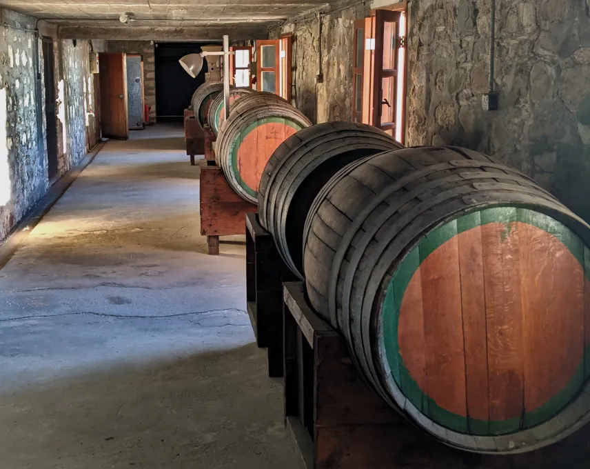 Picture of Cyprus Winery