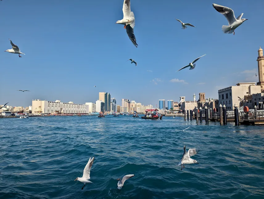 Picture of Abra Dubai
