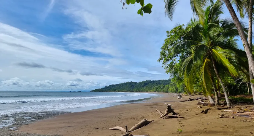 Picture of Corcovado Nationalpark Costa Rica Beach