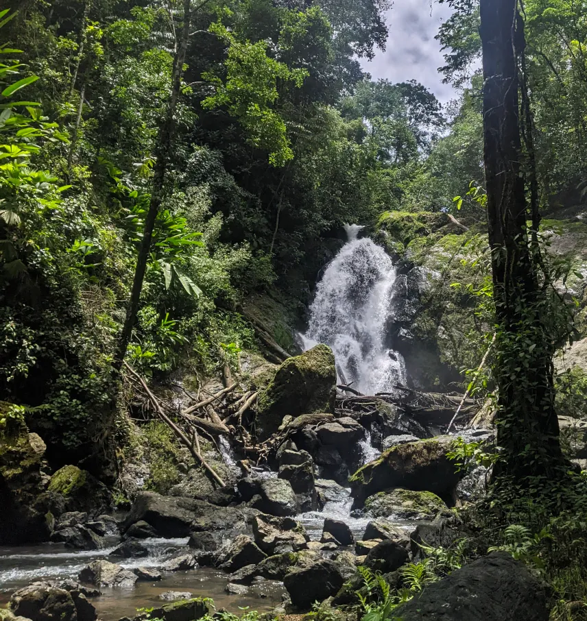 Picture of Waterfall tour Corcovado Costa Rica