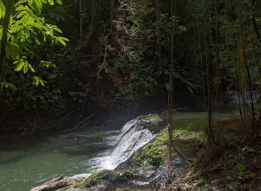 Picture of San Pedrillo Waterfall