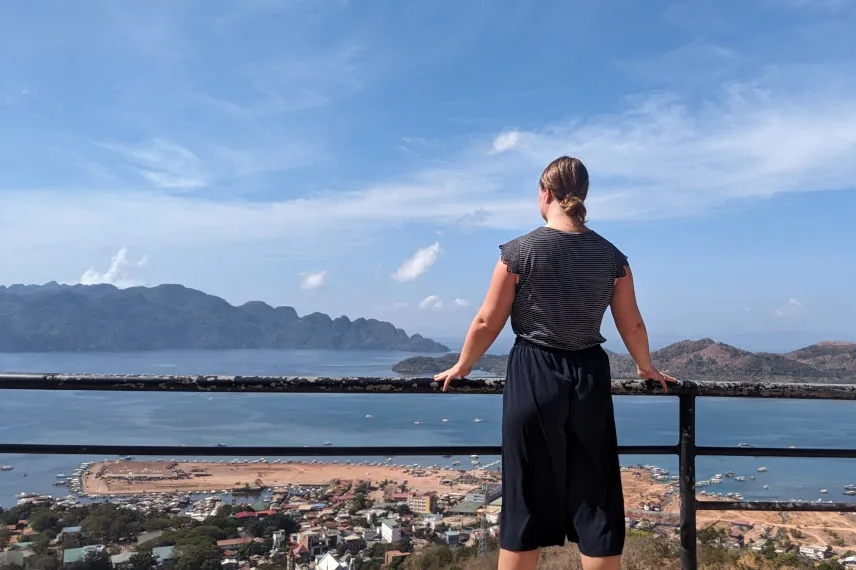 Picture of View from Mount Tapyas