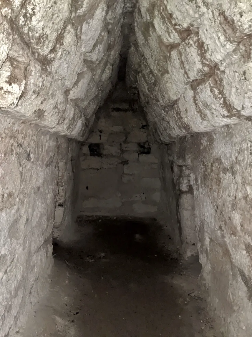 Picture of Inside the La Muerta Mayan ruins