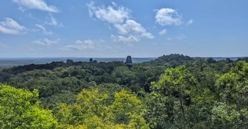 Picture of Tikal Guatemala Star Wars Pyramid