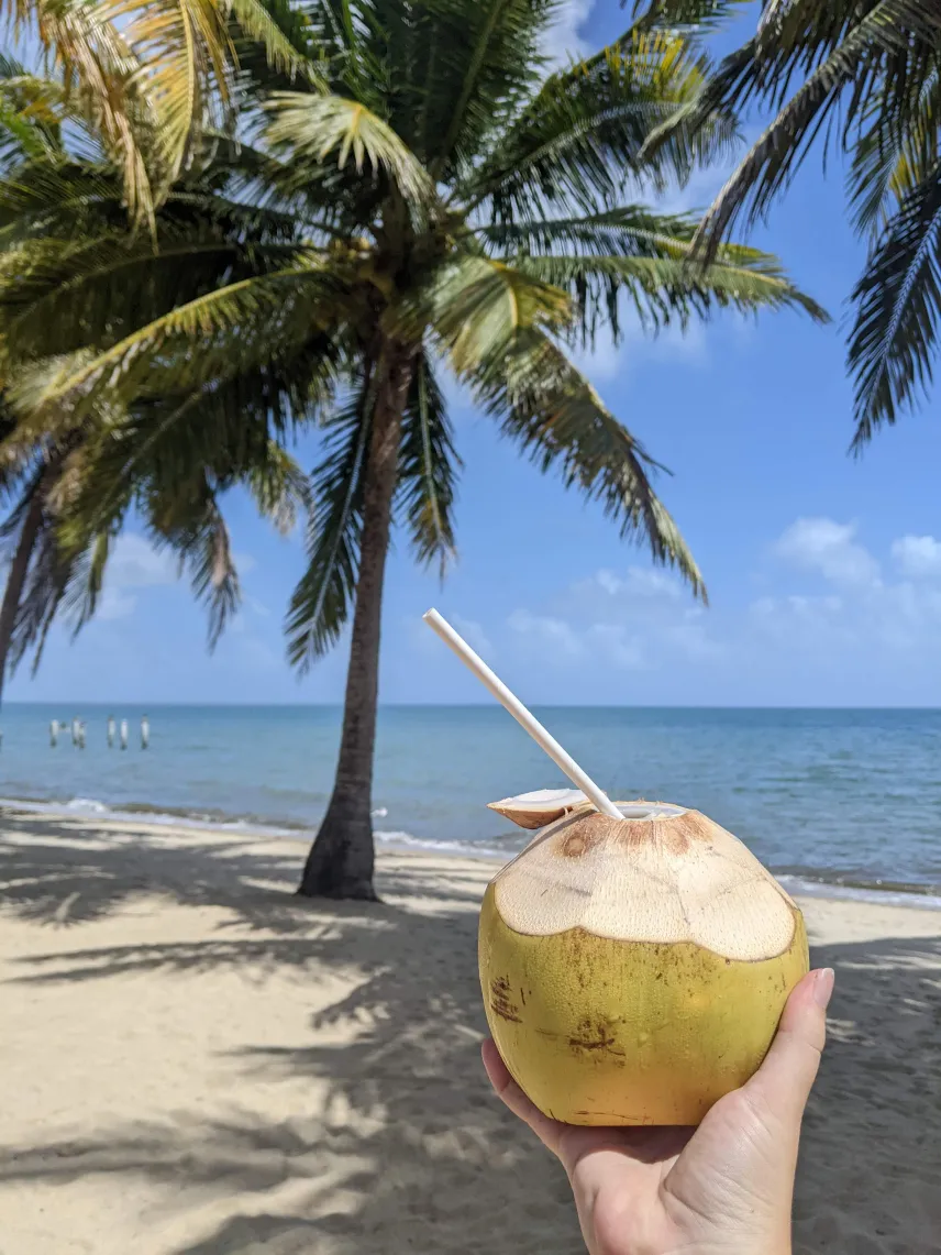 Picture of Hopkins beach