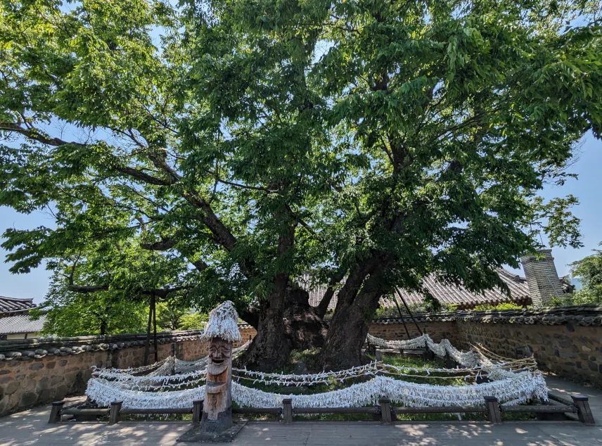 Picture of Goddess Samsin Tree