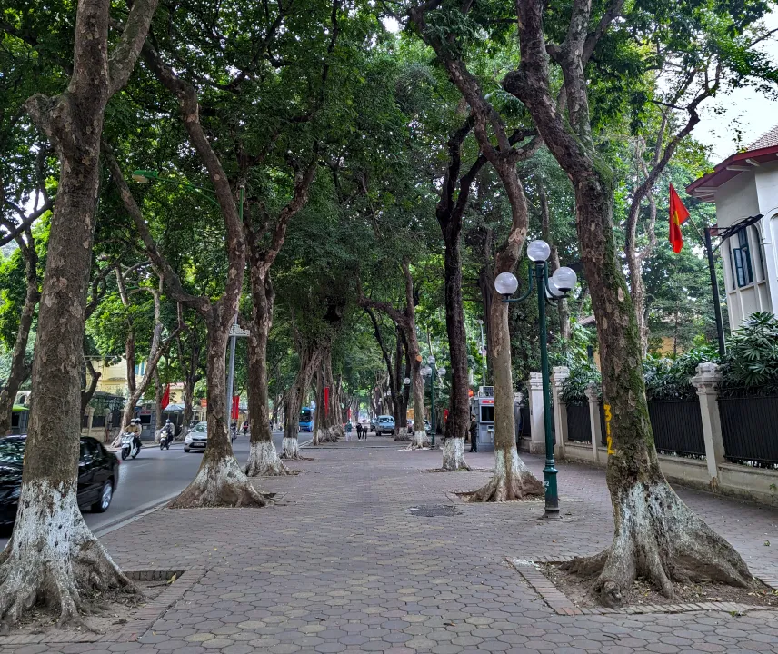 Picture of Phan Dinh Phung Street Hanoi