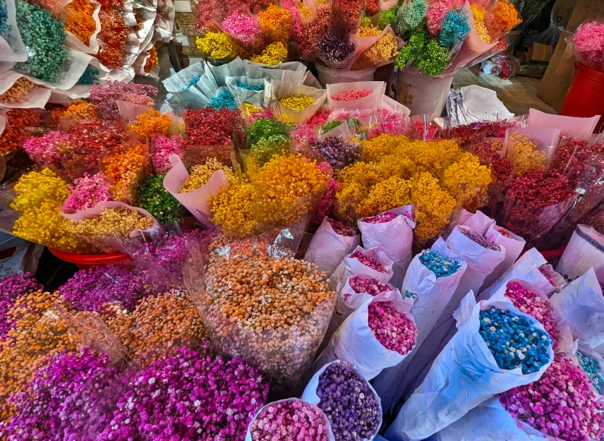 Picture of Ho Thi Ky Flower Market