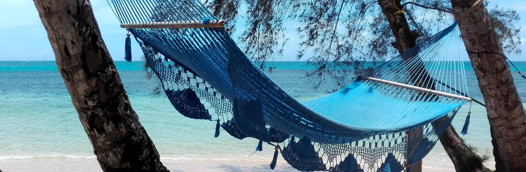 Picture of hammock