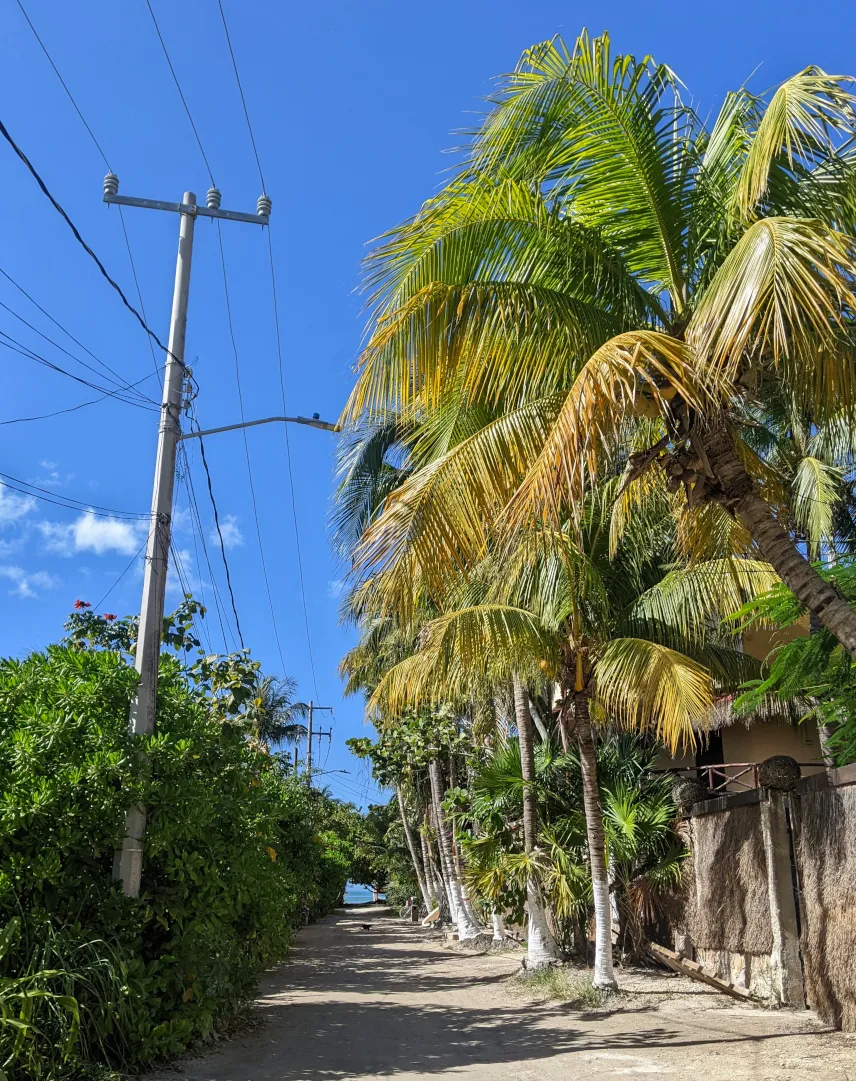 Picture of Holbox street