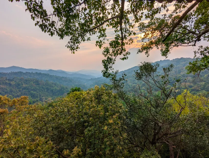 Picture of View from the biggest tree house in the world, Houayxay