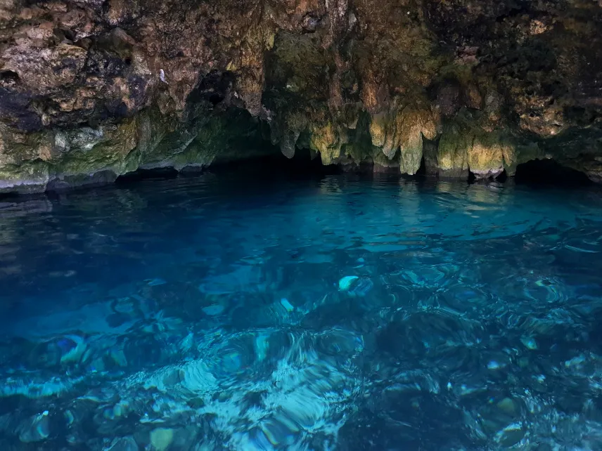 Picture of Gran Cenote Tulum