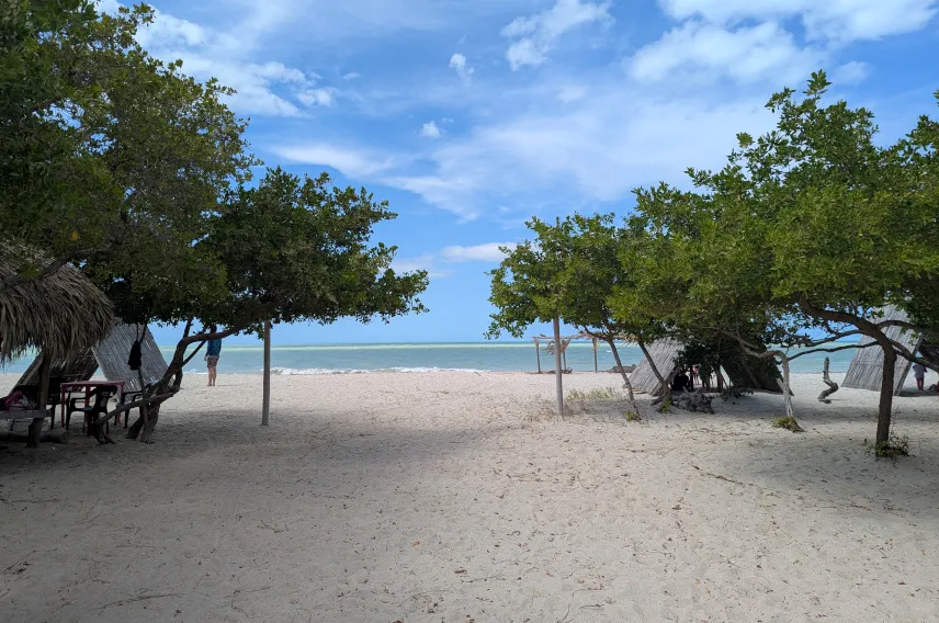 Picture of Mayapo