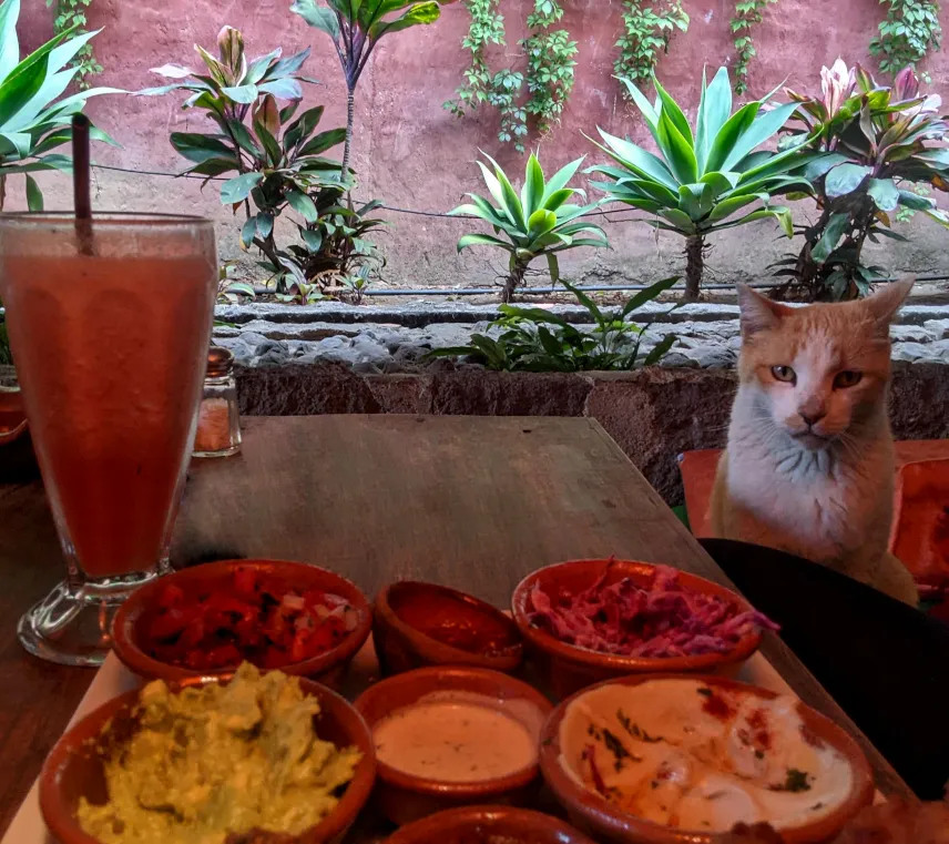 Picture of Food at Lake Atitlan