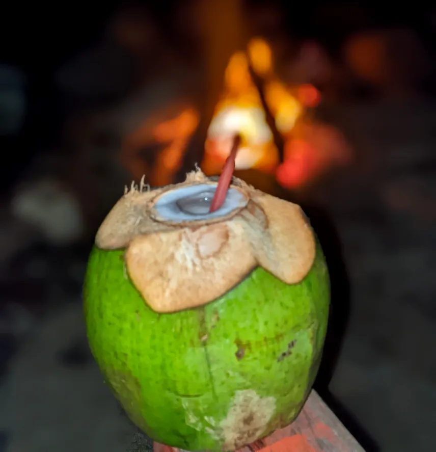 Picture of Tiosy coconut and a bonfire on Little Corn Island