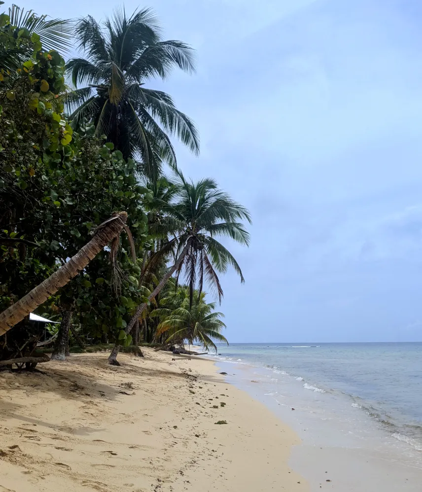 Picture of Kelly Gully Beach Little Corn Island