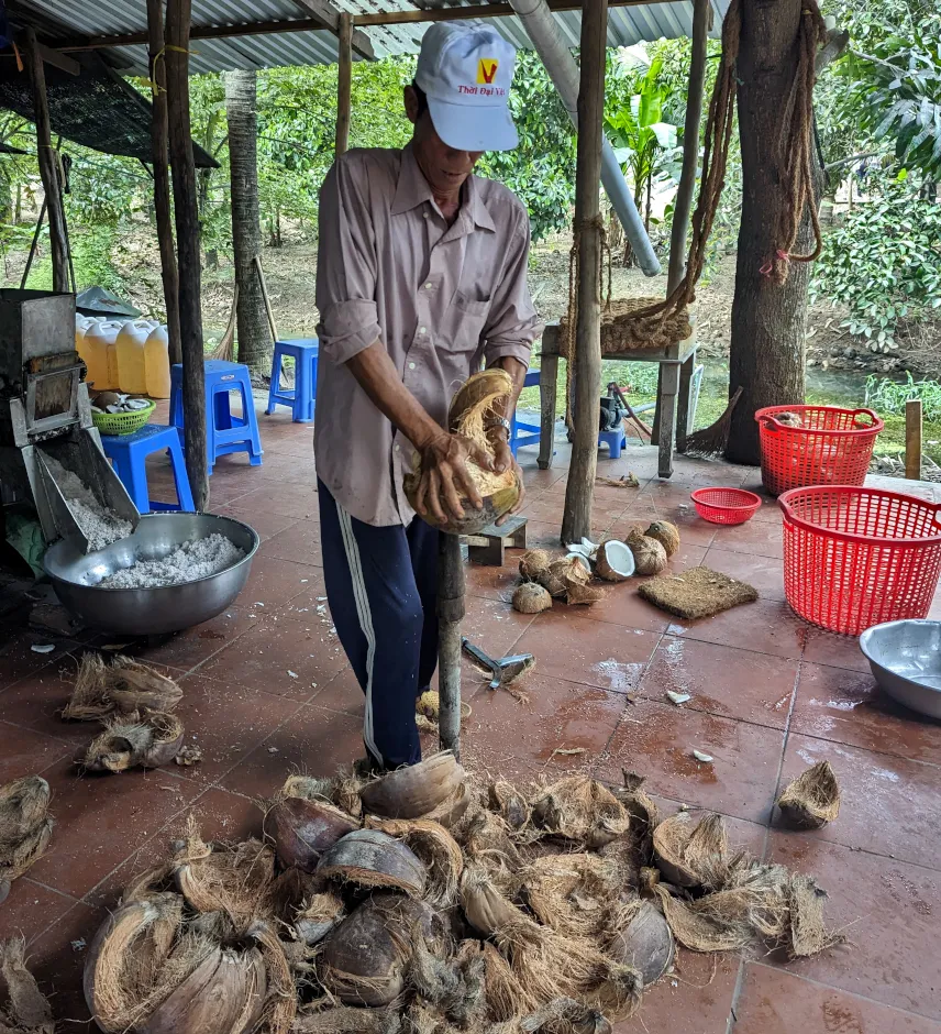 Picture of Feeding crocodiles in the Mekong Delta