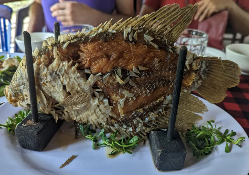 Picture of Lunch on our Mekong Delta tour