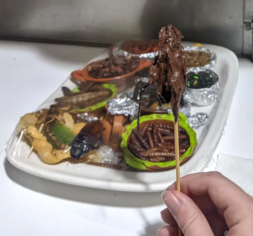 Picture of Trying new food at Mercado de San Juan