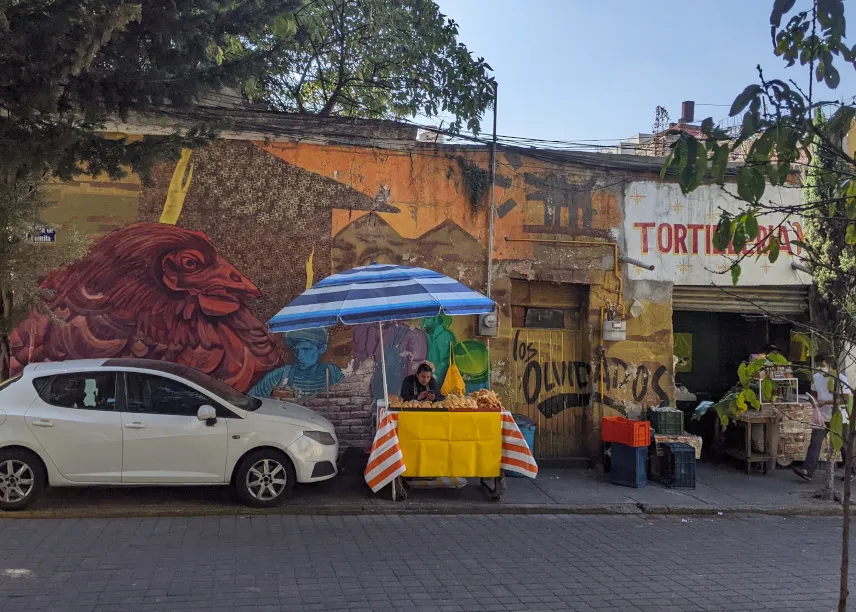 Picture of Street art in Roma & Condesa