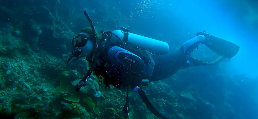 Picture of Carina scuba diving in Moalboal
