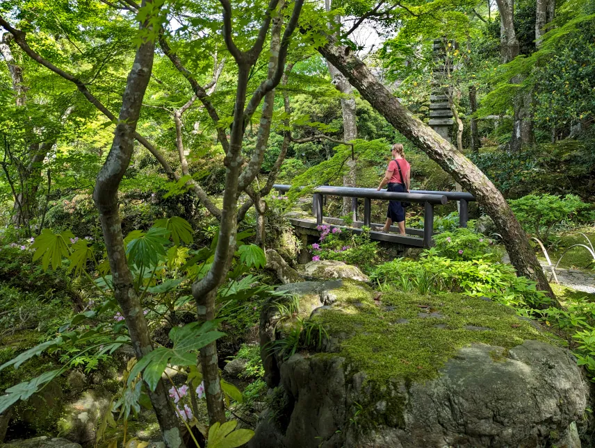 Picture of Nara Yoshikien Garden