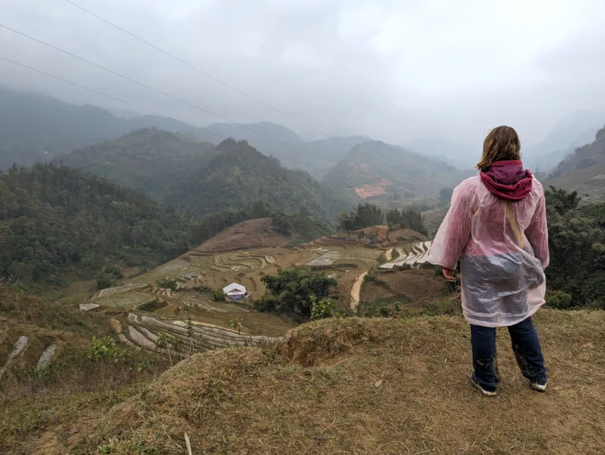 Picture of Sapa rice paddies