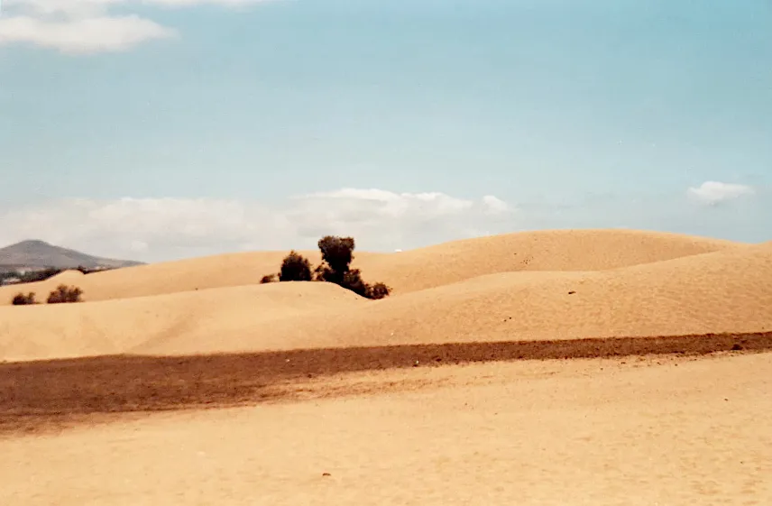 Picture of Dunas de Maspalomas, Canary Islands