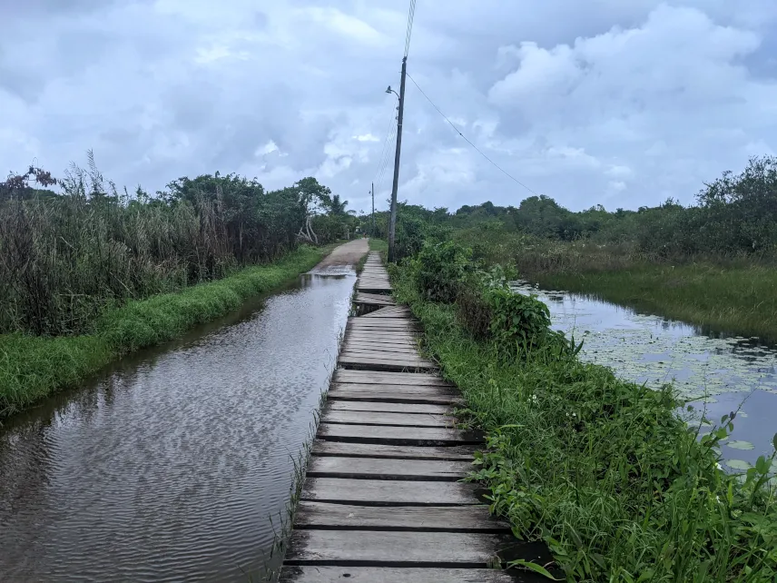 Picture of Path to Awas Beach