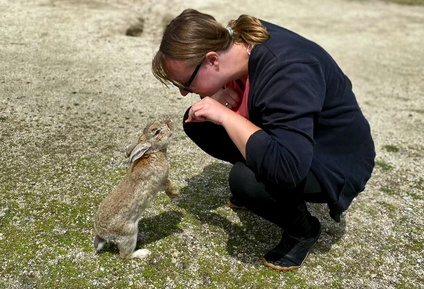 Picture of Feeding the bunnies on Bunny Island