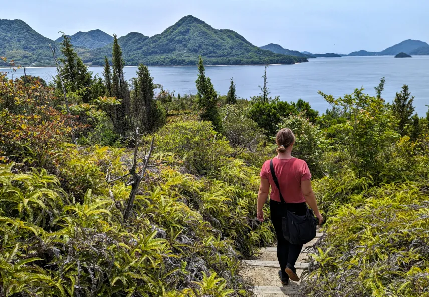 Picture of Hiking trail on Rabbit Island