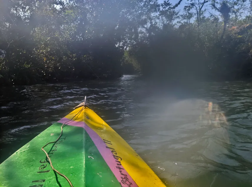 Picture of Kayaking in Rio Dulce