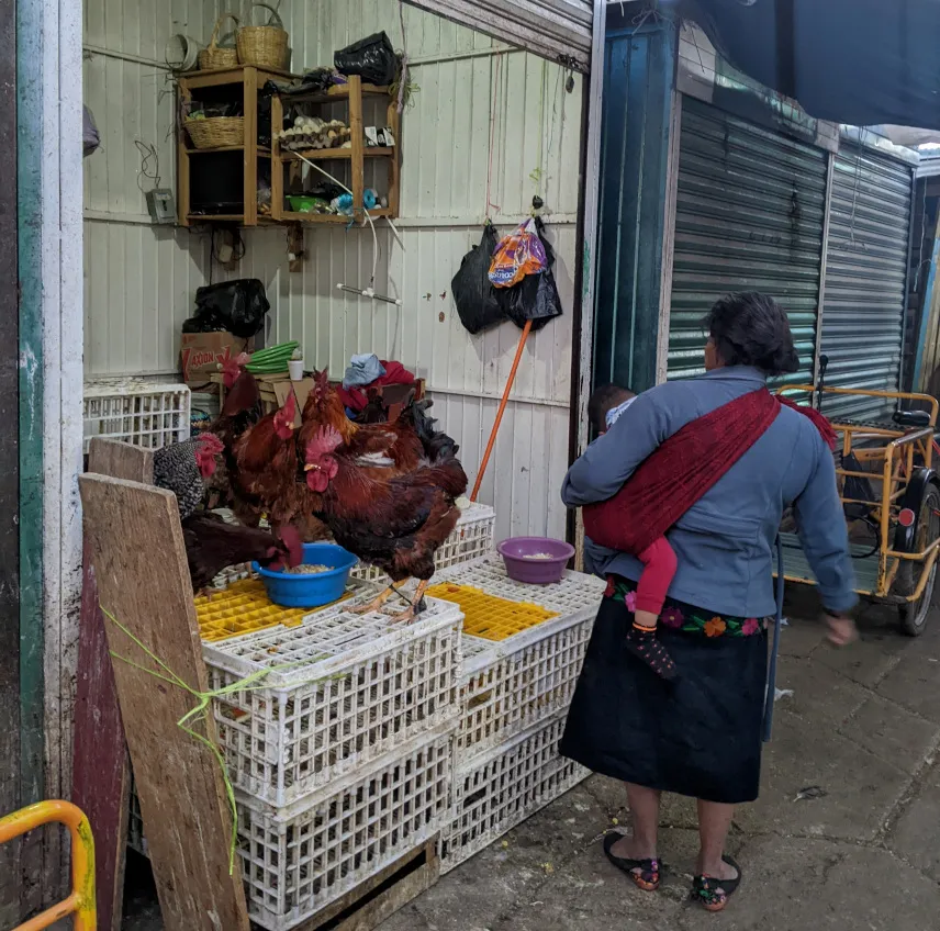 Picture of Mercado Municipal José Castillo Tielemans