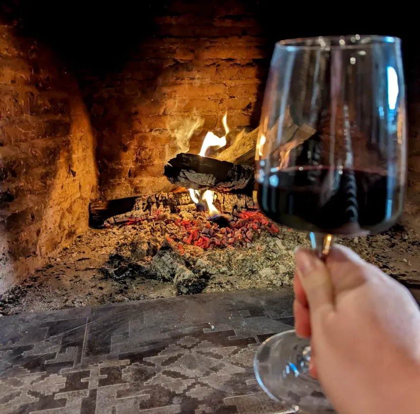 Picture of Drinking Saperavi by the fireplace