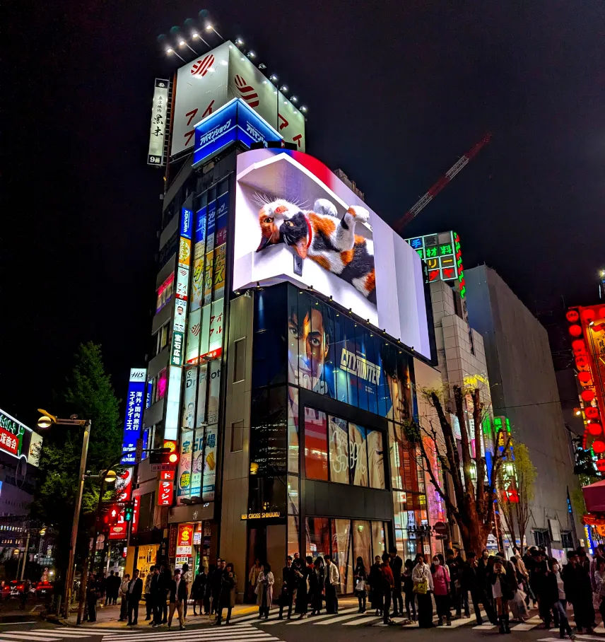 Picture of 3D cat in Shinjuku