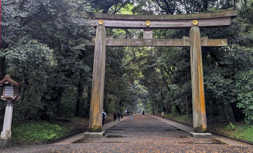 Picture of Meiji Shrine Toyko