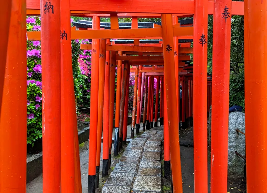 Picture of Tennōji Temple, Yanaka