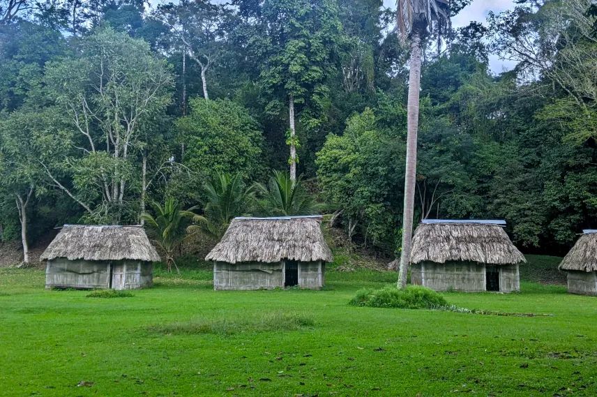 Picture of Mayan houses