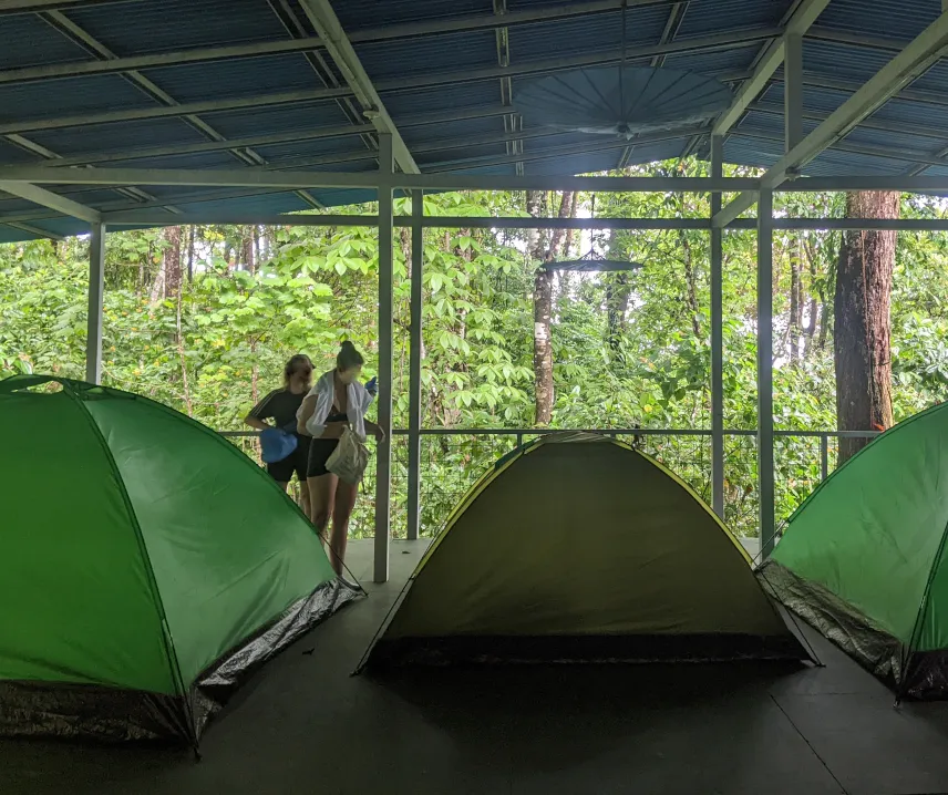 Picture of sleeping in tents in Drake Bay