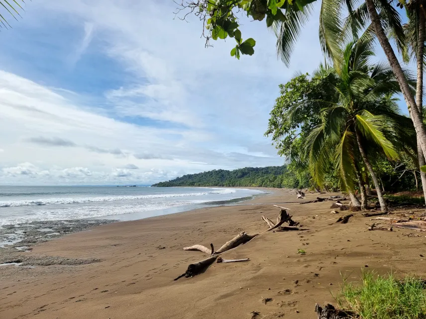 Picture of a beach in Drake Bay